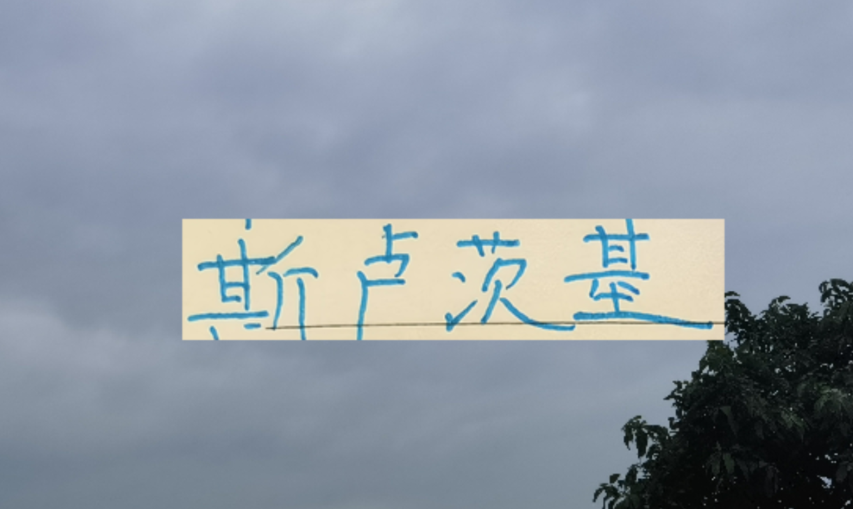 开云综合服务-2026赛季！申花“司机”还会三线全力以赴吗